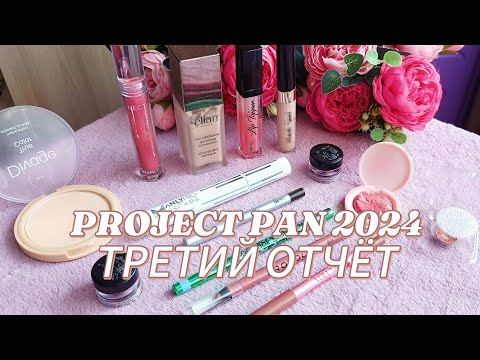 Видео: PROJECT PAN 2024. Третий отчёт.