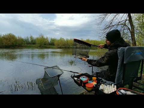 Видео: Ехал за плотвой, а попал на леща! Фидерная рыбалка в АПРЕЛЕ