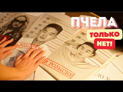 Видео: Пчела - Только нет!