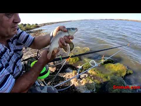 Видео: През септември къде, ако не в Приморско - част 2. Язовир Мандрата.