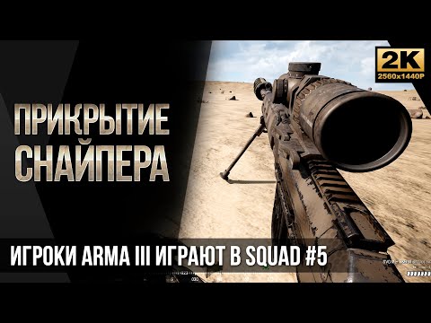 Видео: Прикрытие снайпера • Игроки ArmA 3 играют в SQUAD #5 [2K]