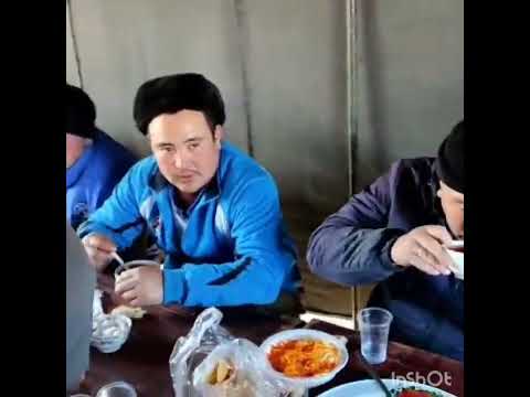 Видео: "Ак-башат" айылында болгон бата улак,аламан Темен-суу айылына буйруду 09.02.24