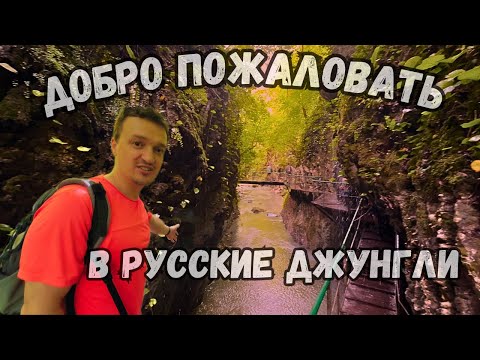Видео: СВИРСКОЕ УЩЕЛЬЕ | Прогулки На Кавказе