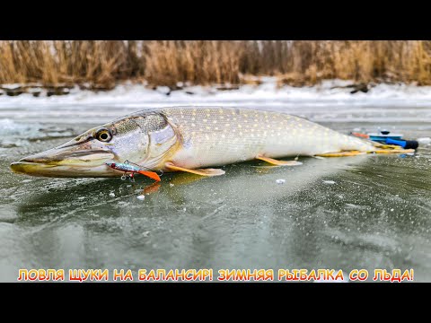 Видео: Ловля щуки на БАЛАНСИР! Зимняя рыбалка со льда!
