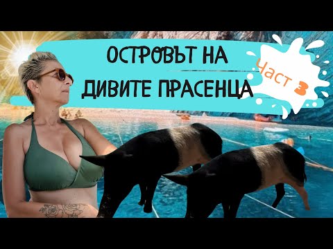 Видео: ОСТРОВЪТ НА ДИВИТЕ ПРАСЕНЦА В ЙОНИЙСКО МОРЕ/ ЧАСТ 3та #lifeingreece #greekislands