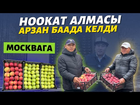 Видео: Сочный алмалар 🔴 ДОСТАВКА бекер 🆘 азыр КЕЛДИ арзан баада ⚠️ поддержка кылалык, сатып алышсын