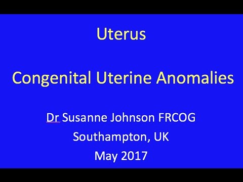 Видео: форма матки