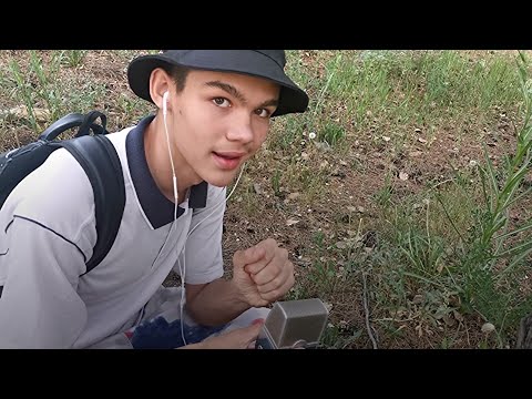 Видео: АСМР В ЛЕСУ) 🌳