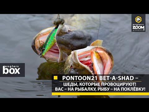 Видео: Pontoon21 Bet-A-Shad – шеды, которые провоцируют! Вас – на рыбалку, рыбу – на поклёвку! Anglers Box