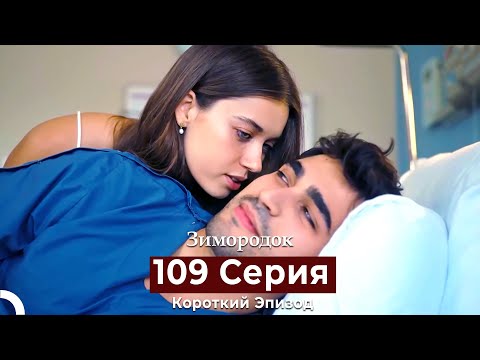 Видео: Зимородок 109 Cерия (Короткий Эпизод) (Русский дубляж)