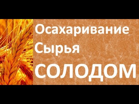 Видео: Осахаривание сырья солодом|Рецепт зерновой браги|Проект для начинающих самогонщиков Азбука Винокура