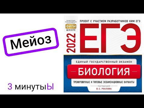 Видео: Мейоз | Рохлов 2022 | Разбираем тесты ЕГЭ по биологии