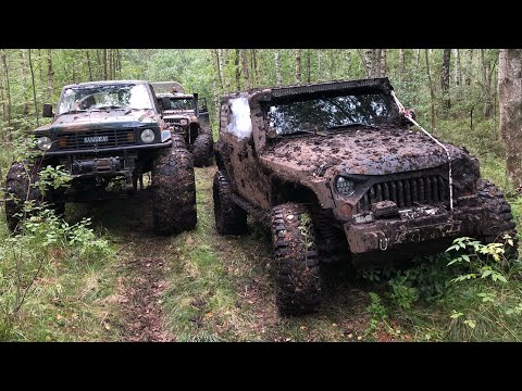 Видео: Газ66 по лобовое в торфе, самая глубокая колея) Defender, TLC80 и Wrangler на порталах в Синявино)
