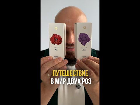 Видео: Реальные мнения о Rose Edition! Какой выбрать?