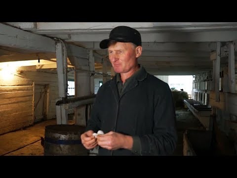 Видео: Сельский ветеринар | ЧЕЛОВЕК НА КАРТЕ