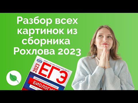 Видео: Разбор картинок из сборника Рохлова 2023 по Биологии