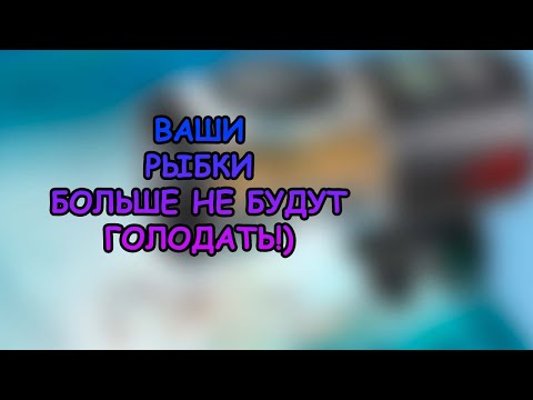 Видео: Ваши рыбки больше не будут голодать!
