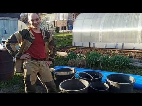 Видео: разбурили абиссинку под погружной на глину . скважина на глине. неожиданный финал.часть 2.