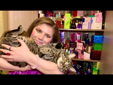 Видео: БАЗАР ИЗ ПАРФЮМЕРНОГО ШКАФА АРОМАТЫ САЛЬВАДОРА ДАЛИ И ДРУГИЕ