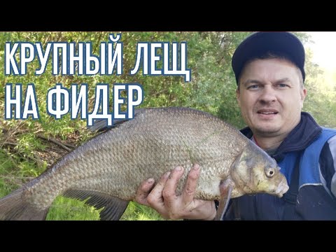 Видео: Рыбалка на фидер в незнакомом месте. Ловля леща и язя на фидер. Рыбалка в Муромцево на реке Тара