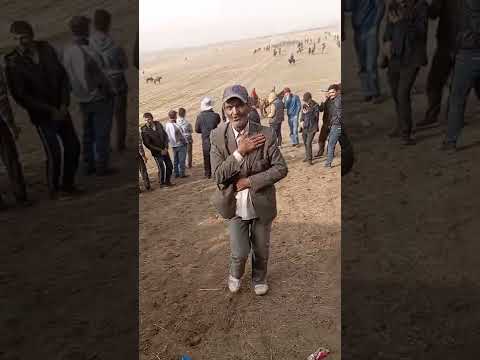 Видео: бузкаши дар Н. ш. шохин  дехаи девдор Акбарам мерахсад