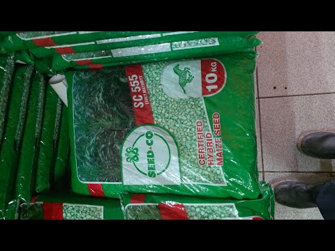 Видео: Подготовка к сельскому хозяйству в сельской местности Зимбабве