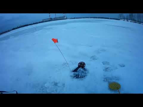 Видео: рыбалка 24 декабря Рефтинское водохранилище