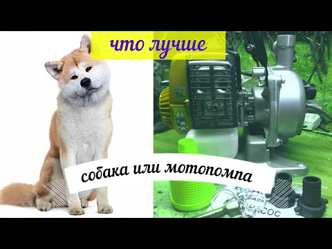 Видео: Мотопомпа Хитачи А 25ЕВ(S)Не сложный выбор между "Japanese" и"японская"!)