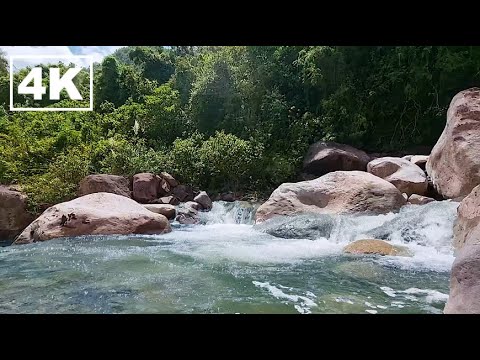 Видео: Прекрасное горное утро с птицами и звуками реки ASMR