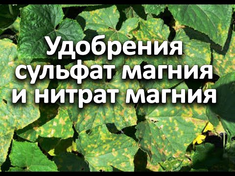 Видео: Удобрения сульфат магния и нитрат магния. В чем разница? Когда и для каких культур?