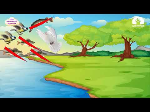 Видео: Класс предшкольной подготовки / Урок-викторина / ФЭМП 3.12.20