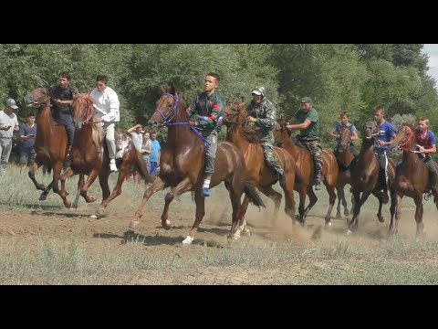 Видео: Угольное. Скачки 2021.
