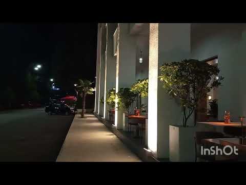 Видео: 1 ноября 2025 г.