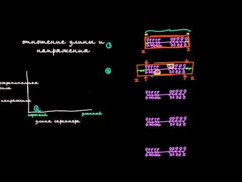 Видео: Отношение длины и напряжения саркомера