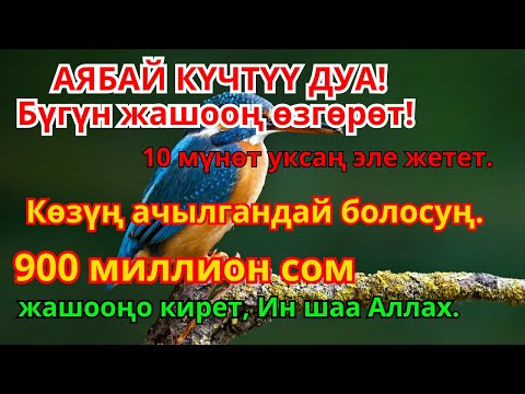 Видео: Акчанын агылышы үчүн керемет дуба! Карыз жок болуп өмүрүңдө береке эшиги ачылат