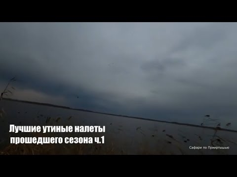 Видео: Лучшие утиные налеты ч. 1