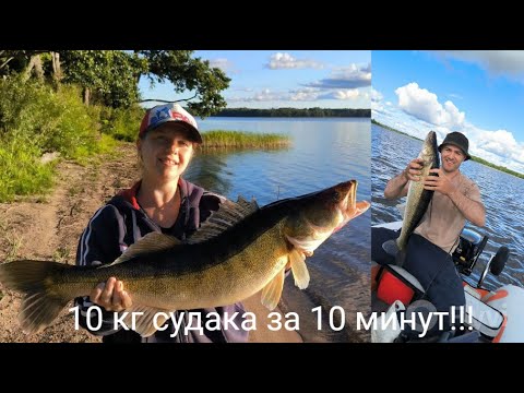 Видео: 10 кг Судака за 10 минут!!!