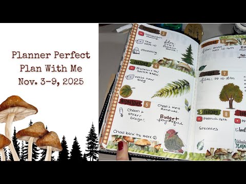 Видео: Planner Perfect || Планируйте вместе со мной || 3–9 ноября 2025 г. || Скоро перееду в новый кожан...