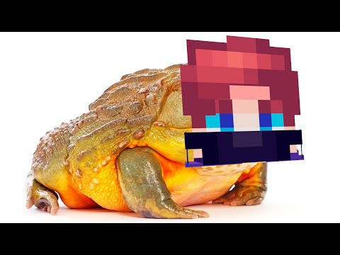 Видео: Конфликт.