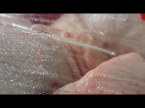 Видео: Туризм. Как готовить 🐦птицу. 🧑‍🍳  🍱Про курицу🍗