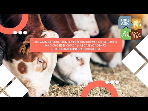 Видео: Запись семинара  от 18 октября 2023 года