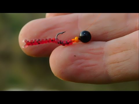 Видео: Pro mормышинг#1.Мормышинг. Ерш,Лещ.