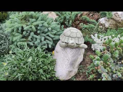 Видео: ЕЛИ! В МОЁМ САДУ!