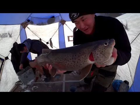 Видео: ЛУЧШАЯ РЫБАЛКА УХОДЯЩЕГО ГОДА 2021!!!