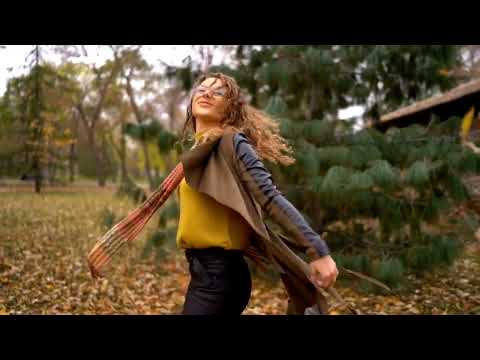 Видео: 🌼 Осень,  осень жёлтая листва! 🌼