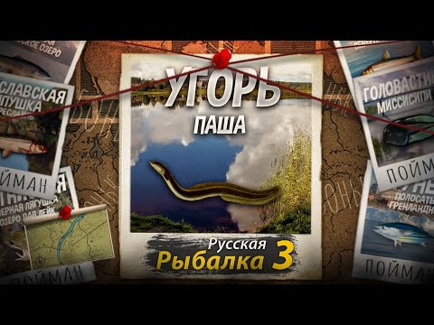 Видео: "Мутант" Угорь. Паша. Русская рыбалка 3.