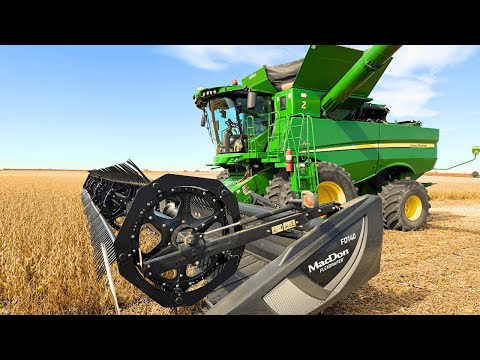 Видео: Соевые бобы, хватит слов!