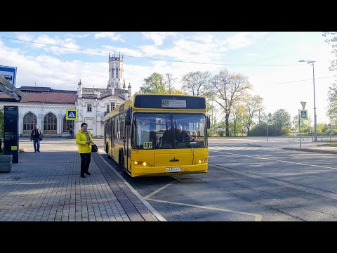 Видео: Автобус, маршрут №489 (объезд ул. Аврова) (кольцевой) МАЗ-103.465 б.330 (29.05.2022) Петергоф/Л.О.