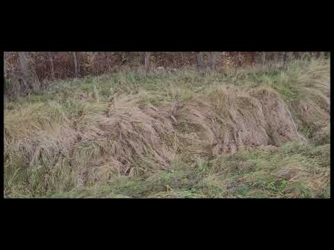 Видео: 4 серия 50 лет спустя 10 11 2023