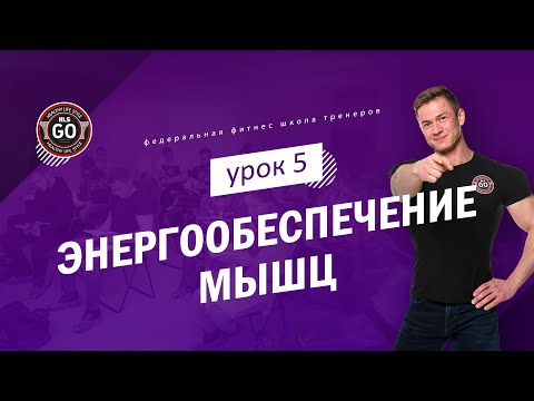 Видео: Энергообеспечение мышц - урок 5 (жиры)